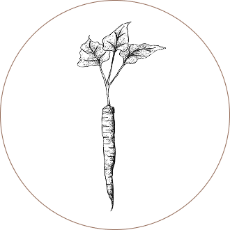Burdock Root