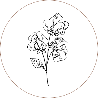 Butterfly Pea Flower