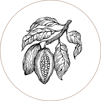 Cacao Shells