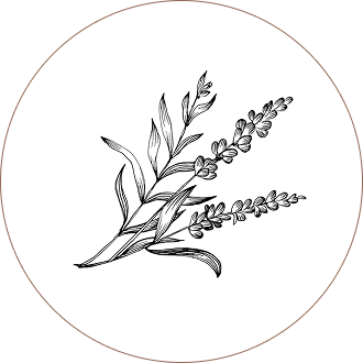 Chaste Tree Berries (Vitex)