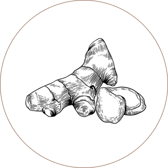 Ginger