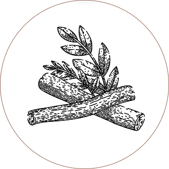 Licorice Root