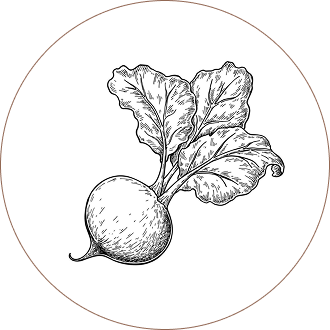 Maca Root