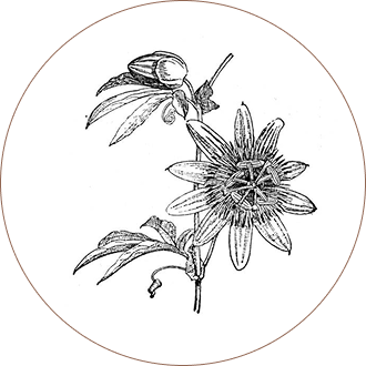 Passionflower