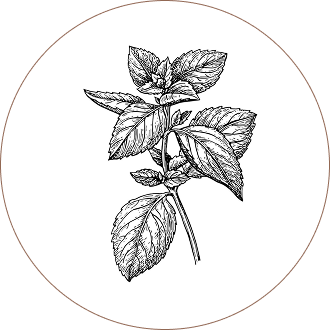 Peppermint