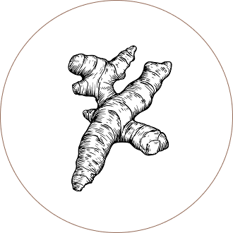 Turmeric Root