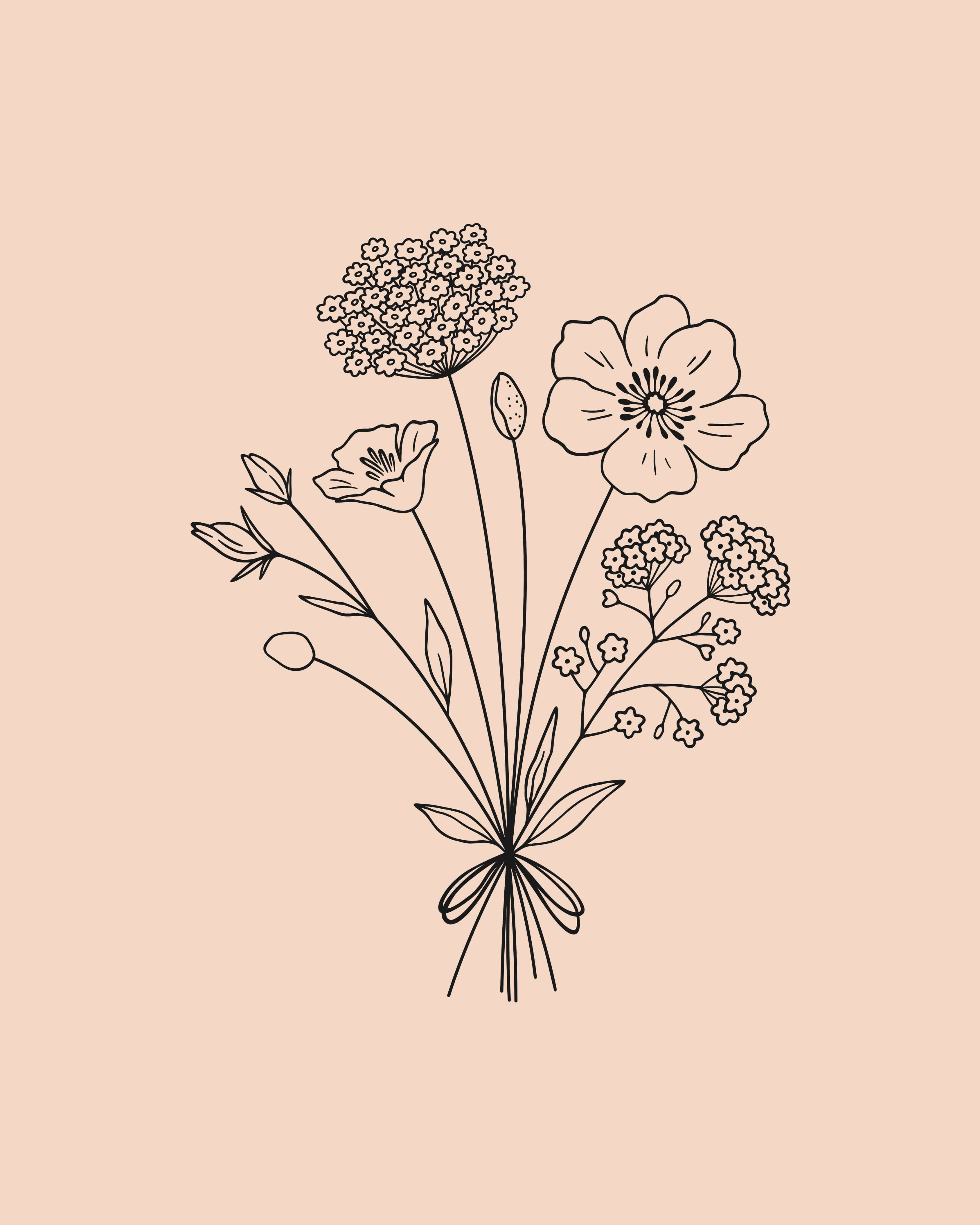 sourced from the highest quality