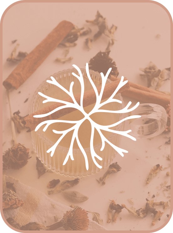 Root blend tea with the Root symbol